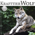 Krafttier Wolf - 432 Hertz | CD